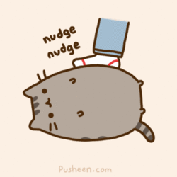 Nudging a cat