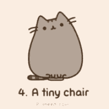 Cat Sitting on Tiny Chair